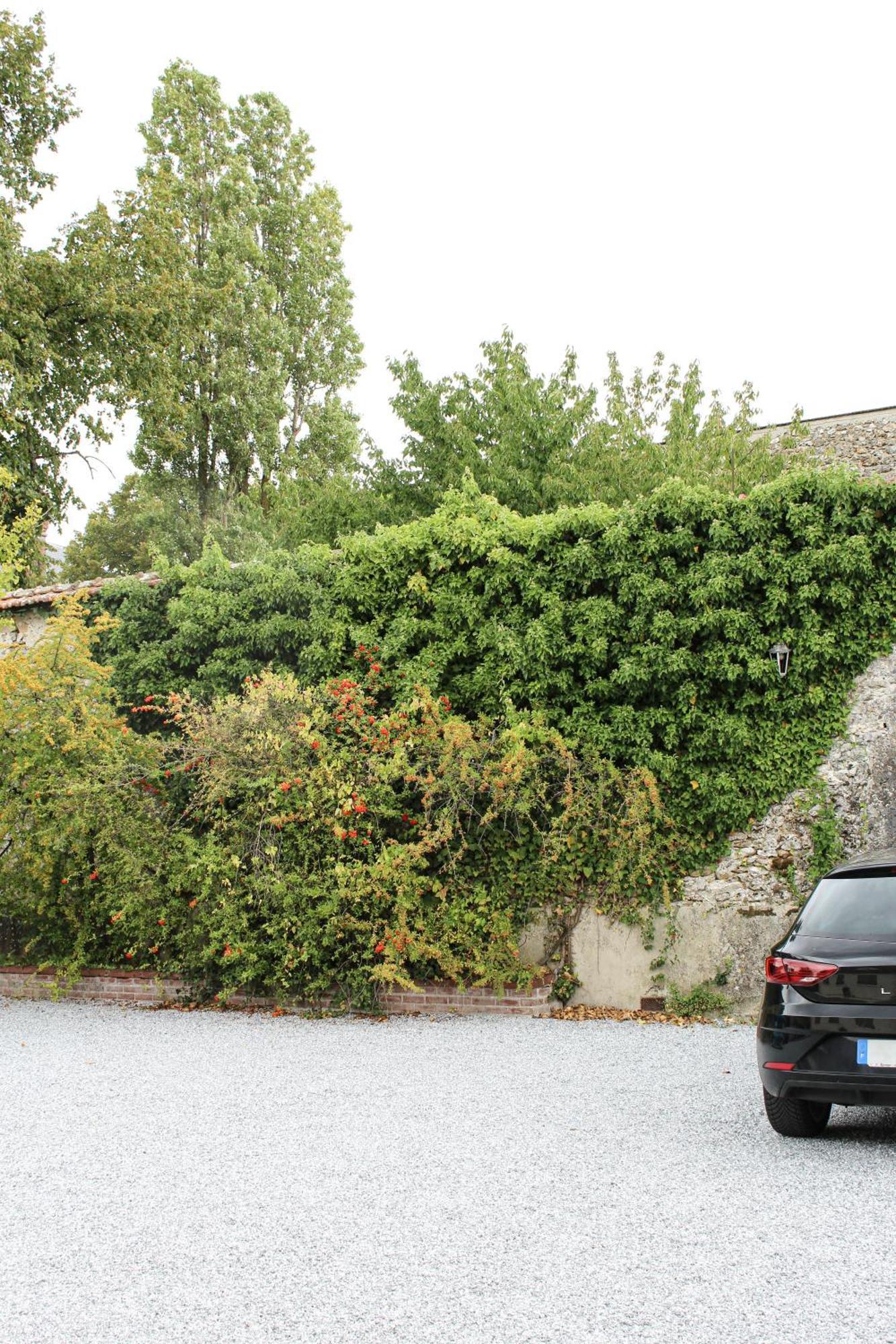 Reve Champenois Chambres D'Hotes Rilly-la-Montagne Dış mekan fotoğraf